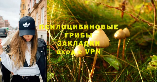 соль ск Алексин