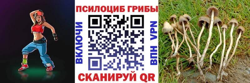 Галлюциногенные грибы мухоморы omg как зайти Бежецк