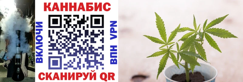 МАРИХУАНА OG Kush Бежецк